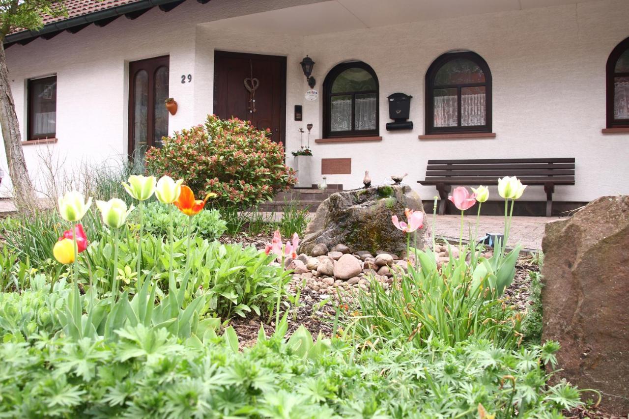 Ferienwohnungen Haus Albert Grossheubach Екстер'єр фото