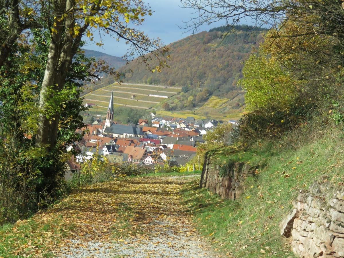 Ferienwohnungen Haus Albert Grossheubach Екстер'єр фото